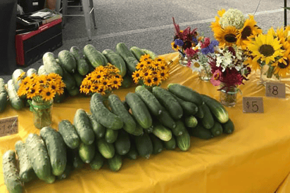 Gallery-Farmers-Market-Cucumbers-1