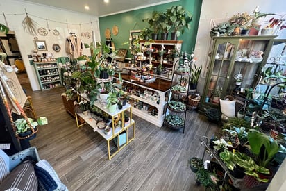 The Grove Botany Boutique